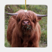 Cute Scottish Highland Koe Keramisch Ornament (Achterkant)