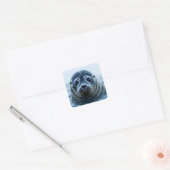 Cute Seal Close up Vierkante Sticker (Envelop)
