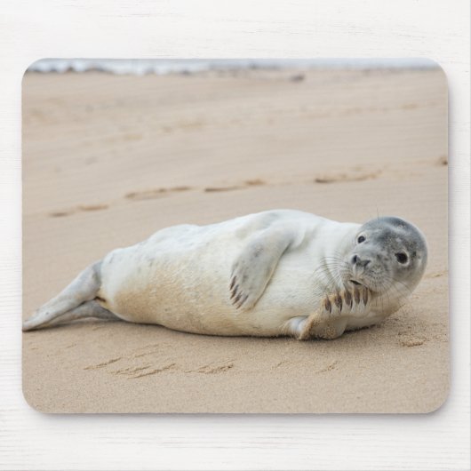 Cute Seal Posing on a Beach Muismat (Voorkant)