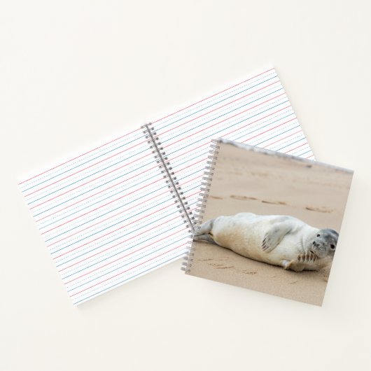 Cute Seal Posing on a Beach Notitieboek (Binnen)