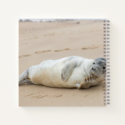 Cute Seal Posing on a Beach Notitieboek (Achterkant)
