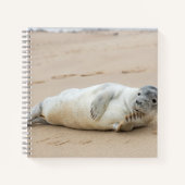 Cute Seal Posing on a Beach Notitieboek (Voorkant)