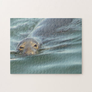 Cute Seal van Cape Cod Legpuzzel