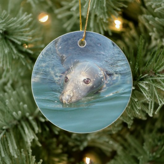Cute Seal zwemt in Ocean Kerstmis Keepomwille Keramisch Ornament (Boom)