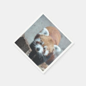 Cute Servet (Hoek)
