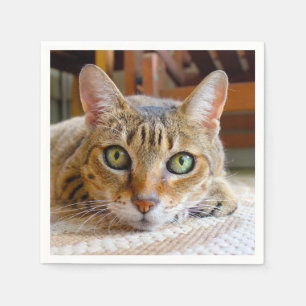 Cute serviettes en papier Cat