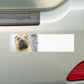 Cute Shar Pei Bumpersticker (Op auto)