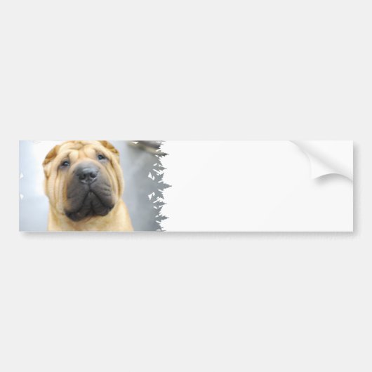 Cute Shar Pei Bumpersticker (Voorkant)