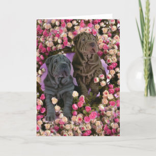 Cute Shar pei puppies in a bed of roses Feestdagen Kaart