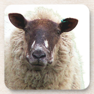 CUTE SHEEP BIER ONDERZETTER