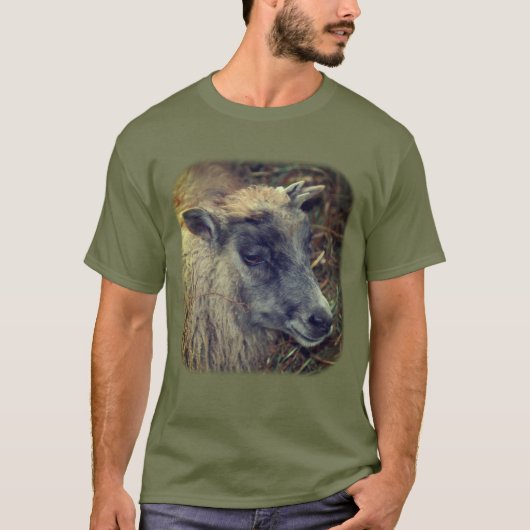 Cute Sheep Boerderij Animal T-shirt (Voorkant)
