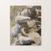 Cute Sheep Family Animals Lamb Legpuzzel (Verticaal)