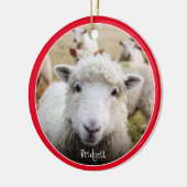 Cute Sheep Personalized Ceramic Ornament (Links)