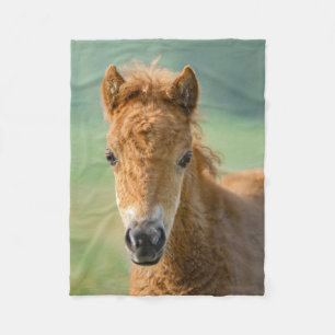Cute Shetland Pony Foal Horse Head Frontale Foto _ Fleece Deken