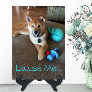 Cute Shiba Inu Puppy met Speelgoed Foto Sjabloon