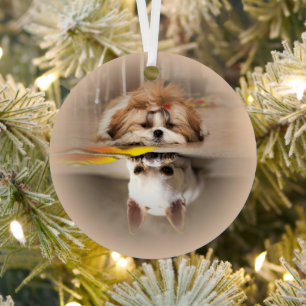 Cute shih tzu en chihuahua metalen ornament