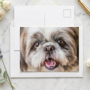 Cute Shih Tzu-hond foto close-up portret Briefkaart