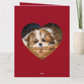Cute shih tzu love Valentijn Kaart (Achterkant)