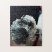Cute Shih Tzu Puzzle (Vertical)