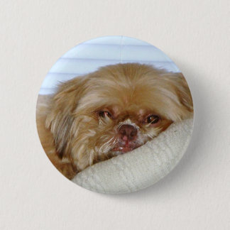 Cute Shitzu Ronde Button 5,7 Cm