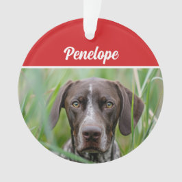 Cute Shorthair Pointer Dog Holiday Christmas Photo Ornament