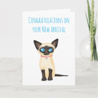 Cute Siamese chaton nouvelle carte de familier pou
