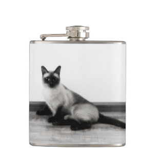 CUTE Siamese Kat Portret Foto Heupfles