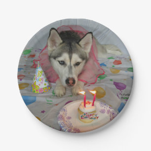 Cute Siberian Husky Birthday Bord