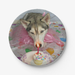 Cute Siberian Husky Birthday Bord