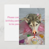 Cute Siberian Husky Birthday Invitation Kaart (Voorkant / Achterkant)
