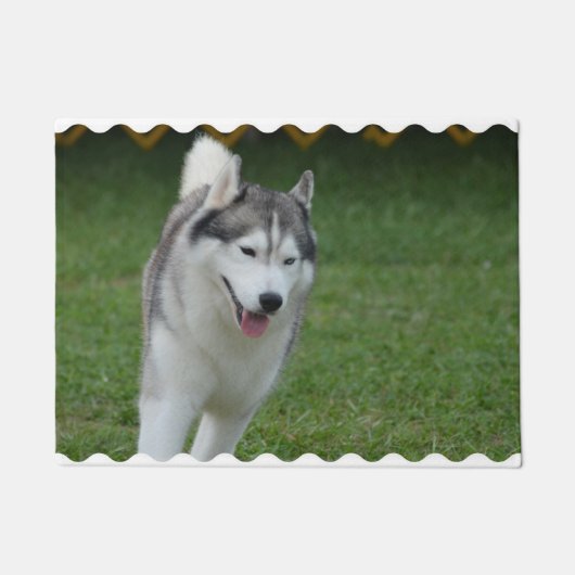 Cute Siberian Husky Deurmat (Voorkant)