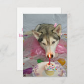 Cute Siberian Husky Invitation d'anniversaire (Devant / Derrière)