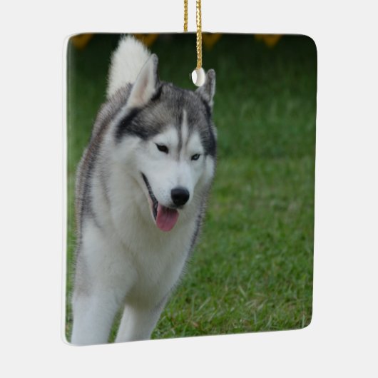Cute Siberian Husky Keramisch Ornament (Rechts)