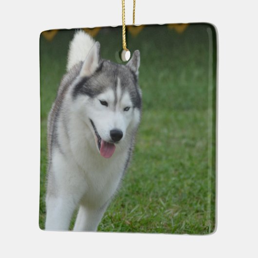 Cute Siberian Husky Keramisch Ornament (Links)