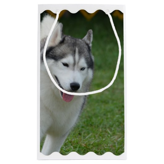 Cute Siberian Husky Klein Cadeauzakje (Achterkant)