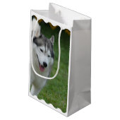 Cute Siberian Husky Klein Cadeauzakje (Achterkant Gekanteld)