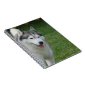 Cute Siberian Husky Notitieboek (Rechterzijde)
