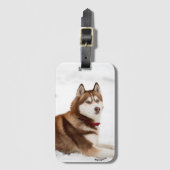 Cute Siberian Husky Portrait Bagagelabel (Voorkant (verticaal))
