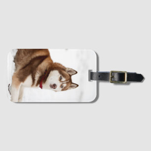 Cute Siberian Husky Portrait Bagagelabel