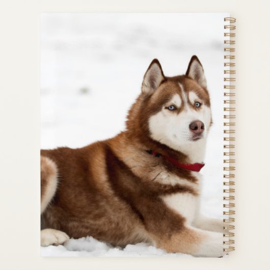 Cute Siberian Husky Portrait Planner (Achterkant)