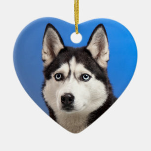 Cute Siberian Husky Puppy Dog Keramisch Ornament