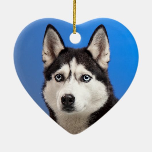Cute Siberian Husky Puppy Dog Keramisch Ornament (Achterkant)