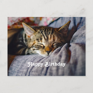 Cute Slaande Tabbykat Foto Verjaardag Briefkaart