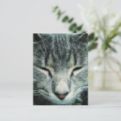 Cute slaaptabby kitten briefkaart (Staand voorkant)