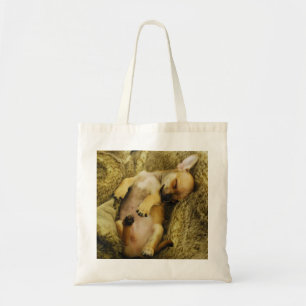 Cute Sleeping Chihuahua Canvas tas