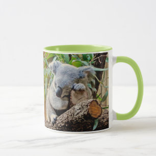 Cute Sleeping Koala Beer Mok