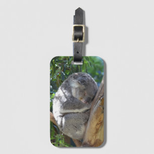 Cute Sleeping Koala in de boom Bagagelabel