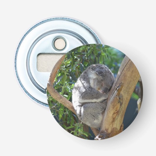 Cute Sleeping Koala in de boom Button Flesopener (Voorkant)