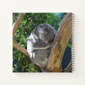 Cute Sleeping Koala in de boom Notitieboek (Achterkant)