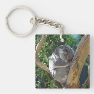 Cute Sleeping Koala in de boom Sleutelhanger